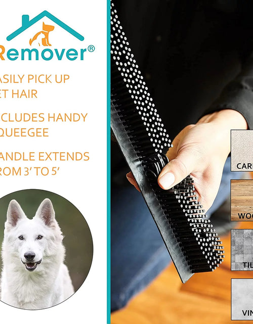 Load image into Gallery viewer, Broom Pet Hair Remover
